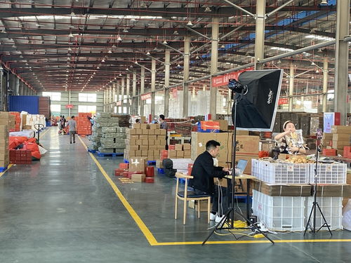 福建屏南縣 走特色之路 立優勢產業